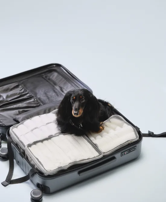Packa lätt med ordning i väskan
